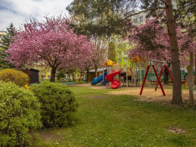 MŠ Tovární Beroun - zahrada 5